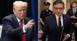 President Donald Trump has privately joked that he's both the president and Speaker of the House, according to a New York Times report. 'I'm the speaker and the president,' Trump said recently, according to two anonymous insiders who are cited in a Saturday report by the paper.