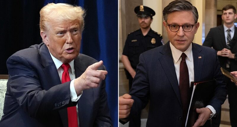 President Donald Trump has privately joked that he's both the president and Speaker of the House, according to a New York Times report. 'I'm the speaker and the president,' Trump said recently, according to two anonymous insiders who are cited in a Saturday report by the paper.