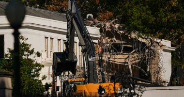 A photograph from Tuesday shows the East Wing of the White House being quickly torn down to make way for President Donald Trump's $250 million ballroom. Alumni from the Nixon administration had tried to stop this 'devastation' before demolition started on Monday