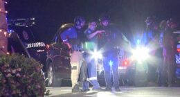 Tactical police are on the scene in Sydney's inner west with a gunman understood to have opened fire on multiple people