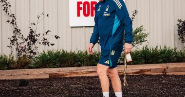 Sean Dyche intends to restore some of the principles that delivered European football for Nottingham Forest last season