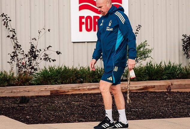 Sean Dyche intends to restore some of the principles that delivered European football for Nottingham Forest last season