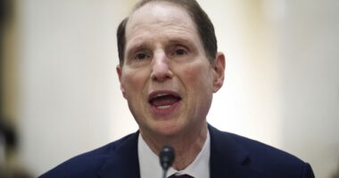 Ron Wyden Takes Aim at Conservative Reporters Covering Portland, It Doesn't Go Well – RedState