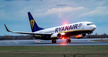 An investigation has been launched after a Ryanair flight came within six minutes of 'running out of fuel' mid-air (file image)