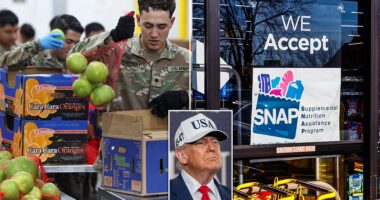 With the government shutdown now in its fourth week, the effects of agency closures are set to become staggeringly real for 42 million Americans dependent on government assistance for food. Funding for the Supplemental Nutrition Assistance Program, also known as SNAP is set to expire on Saturday, November 1. The program disburses funds on a monthly basis onto a debit card which recipients can use to buy grocery items. The average monthly SNAP benefit is $187 per person, but without a vote to end the government shutdown that stipend won't be dispensed.