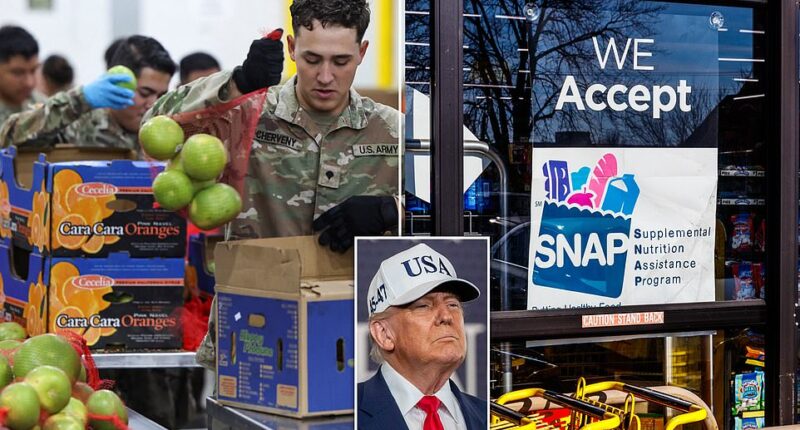 With the government shutdown now in its fourth week, the effects of agency closures are set to become staggeringly real for 42 million Americans dependent on government assistance for food. Funding for the Supplemental Nutrition Assistance Program, also known as SNAP is set to expire on Saturday, November 1. The program disburses funds on a monthly basis onto a debit card which recipients can use to buy grocery items. The average monthly SNAP benefit is $187 per person, but without a vote to end the government shutdown that stipend won't be dispensed.