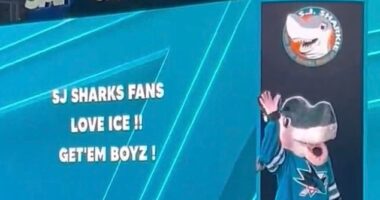 Video surfaced on social media, revealing several boos in response to the pro-ICE message