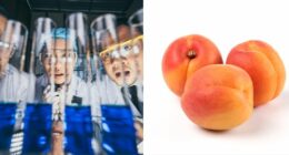 Scientists Just Proved You Can Breathe Through Your Bottom, And The Internet Can’t Stop Laughing