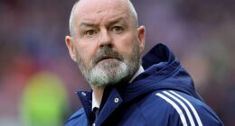 Scotland manager Steve Clarke described his team's performance as a 'head-scratcher'