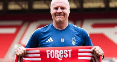 Sean Dyche is a clever appointment at Nottingham Forest. He has shown, particularly at Burnley but also at Watford and Everton, that he can unite a squad