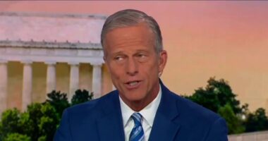 Senate GOP Leader Thune Attacks 'Bureaucrat' RFK Jr. on MSNBC.