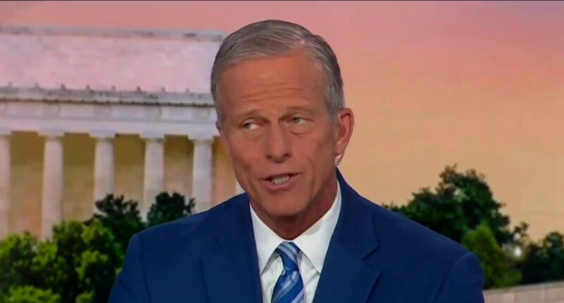 Senate GOP Leader Thune Attacks 'Bureaucrat' RFK Jr. on MSNBC.