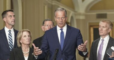 Senate GOP Restraining Trump, Vought in Schumer Shutdown – HotAir