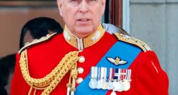 From now on, the former Duke of York (pictured) will simply be known as Mr Andrew Mountbatten Windsor ¿ losing even his birth title of prince