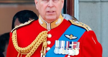 From now on, the former Duke of York (pictured) will simply be known as Mr Andrew Mountbatten Windsor ¿ losing even his birth title of prince