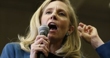 Sexism Is the Reason Why Abigail Spanberger is in Trouble – HotAir