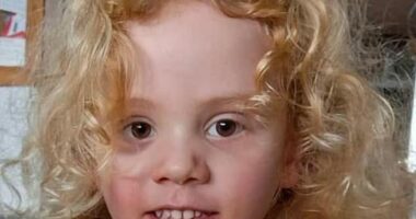 Four-year-old August 'Gus' Lamont (pictured) went missing on Saturday, September 27
