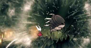 Silksong's Savage Beastfly (Both Times)