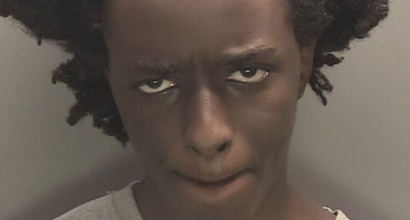 Socialized UK Health Service Determined Southport Killer Was Not Dangerous Days Before Stabbing Spree.