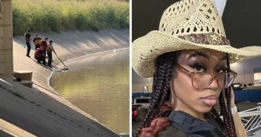 “Something Is Afoot”: Fears Of Serial Criminal Rise As 16th Body Found In Houston, Mayor Issues Update