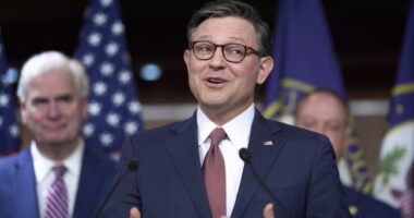 Speaker Johnson Faces Lawsuit Over Swearing-In Delay – RedState