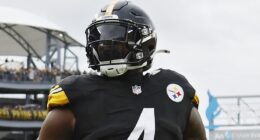 Steelers WR DK Metcalf Rips Browns After Beatdown
