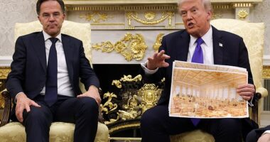 Donald Trump admitted on Wednesday in a meeting with NATO Secretary General Mark Rutte that he was tearing down the East Wing