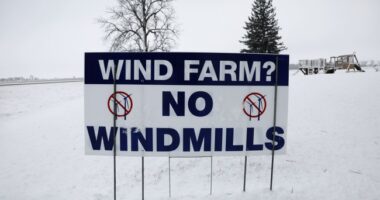 Suffer the Wee Birds and Bees – HotAir