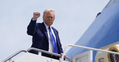 Suspicious 'Hunting Stand' Found With Direct Line of Sight to Where Trump Deplanes in Palm Beach – RedState