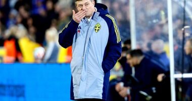 Jon Dahl Tomasson has been sacked as Sweden manager after Monday night's shock defeat by Kosovo