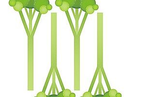 200g Tenderstem broccoli, £1.60