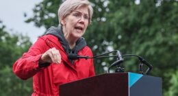Senator Elizabeth Warren was key to establishing the Consumer Financial Protection Bureau