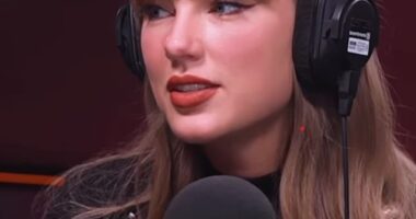 Taylor Swift has debunked the theory that her song The Black Dog is about a pub frequented by her English ex-boyfriend Joe Alwyn