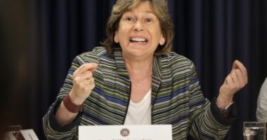 Teachers' Union Sues to Save...Illegal Alien Truck Drivers? – HotAir