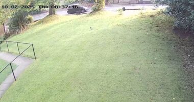 Jihad Al-Shamie's black Kia hatchback drives along Middleton Road in Crumpsall at 9.30am last Thursday morning, seconds before ploughing into Heaton Park Hebrew Congregation Synagogue before launching an attack which left two worshippers dead (time stamp is incorrect)