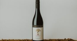 Howard Park's Leston Shiraz 2023 was recently awarded the prestigious top prize of best red wine at The Royal Adelaide Wine Show