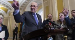 The Dike Holding Back Democrat Discontent on Schumer Shutdown Is Cracking – HotAir