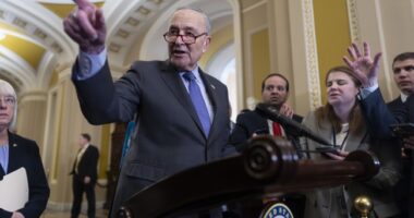 The Dike Holding Back Democrat Discontent on Schumer Shutdown Is Cracking – HotAir