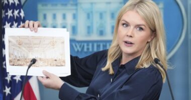 The Left's Bizarre Meltdown Over White House Ballroom – HotAir