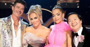 The Masked Singer S14 Reveals First Costume & Speculation Begins (SPOILERS)