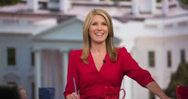 The Peacock Getting Some Lay-Off Feathers Plucked – HotAir