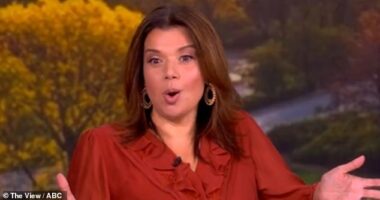 The View's Ana Navarro has claimed that Katy Perry and Justin Trudeau wanted to be seen