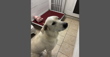 The Worst Best Job – RedState