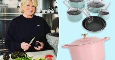 The best Way Day kitchen deals include under-$130 Martha Stewart cookware