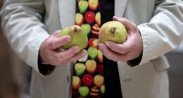 The fall fruit that’s great in a salad and packs a major fiber punch