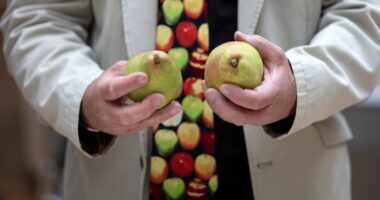 The fall fruit that’s great in a salad and packs a major fiber punch