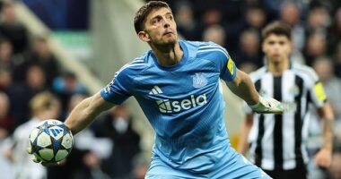 Nick Pope unleashed a throw redolent of a Super Bowl quarterback in Newcastle's 3-0 win over Benfica on Tuesday