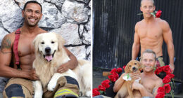 These 50 Photos Of Australian Firefighters With Dogs Are The Perfect Mix Of Cute And Heroic