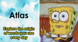 “Think You Know The Origin Of These Words?”: Take The Quiz And Test Your Etymology Skills