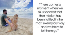 This Brave Golden Retriever Touched Thousands Of Lives Before Passing Away
